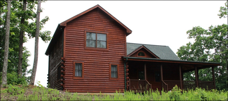 Professional Log Home Borate Application  Richmond County, Georgia